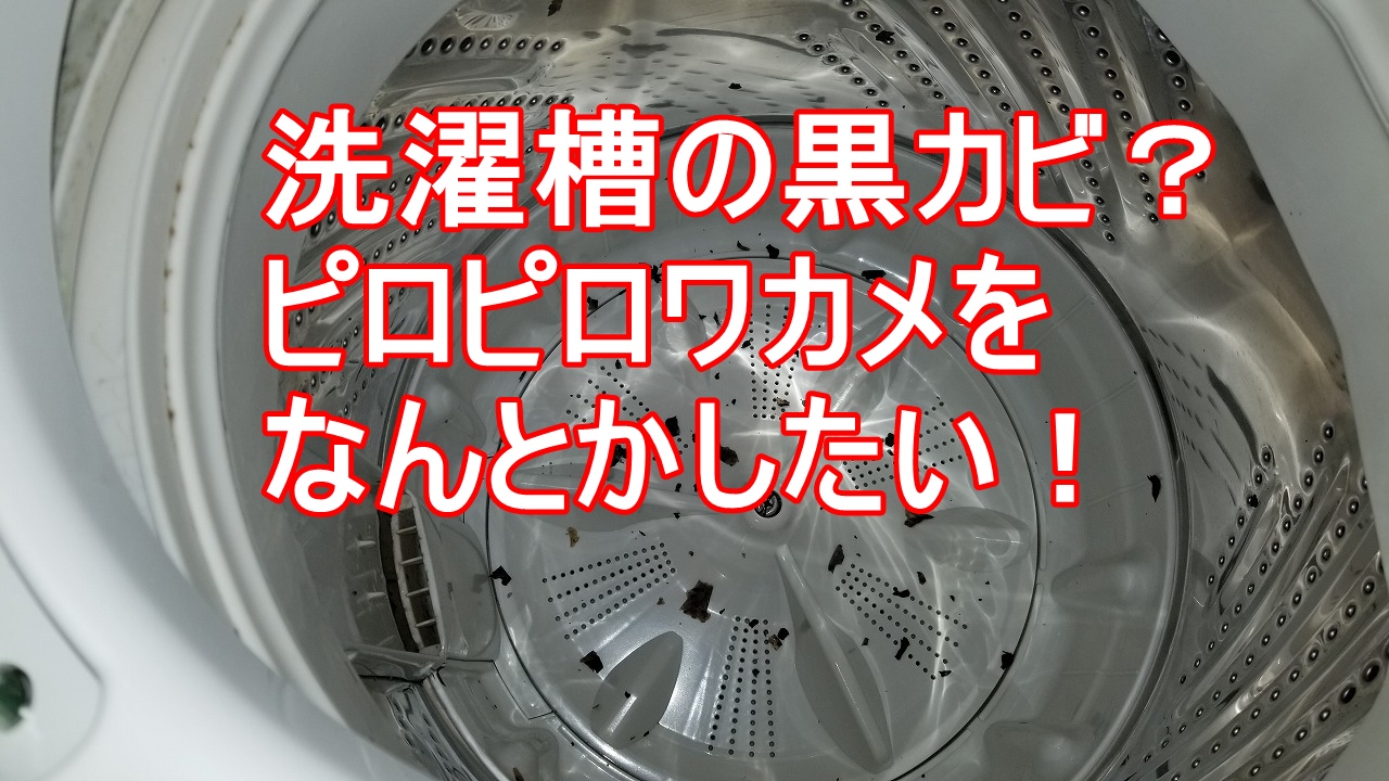 洗濯機の茶色いカスは黒カビ ピロピロワカメ海苔の掃除方法 なくならないカスの解決 たかみーブログ